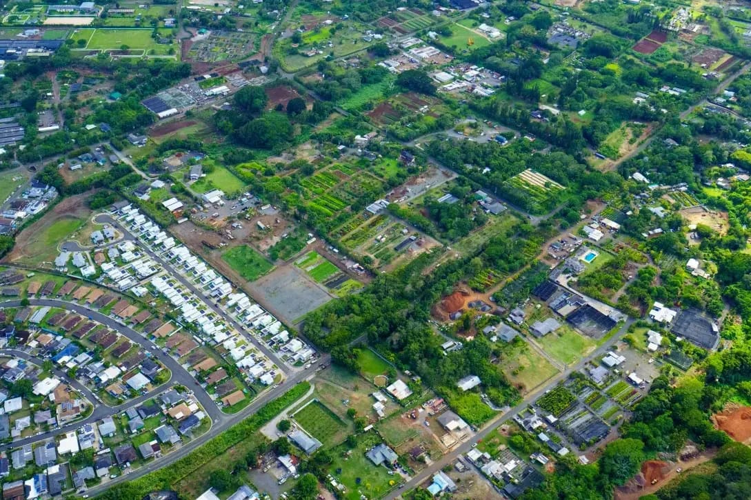 Supporting Local Connections Through Everyday Services